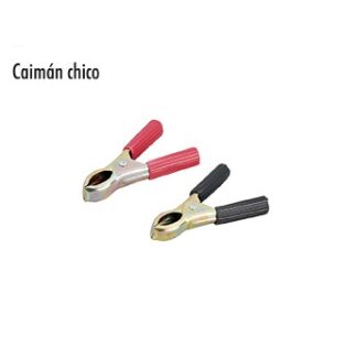 CAIMAN CHICO